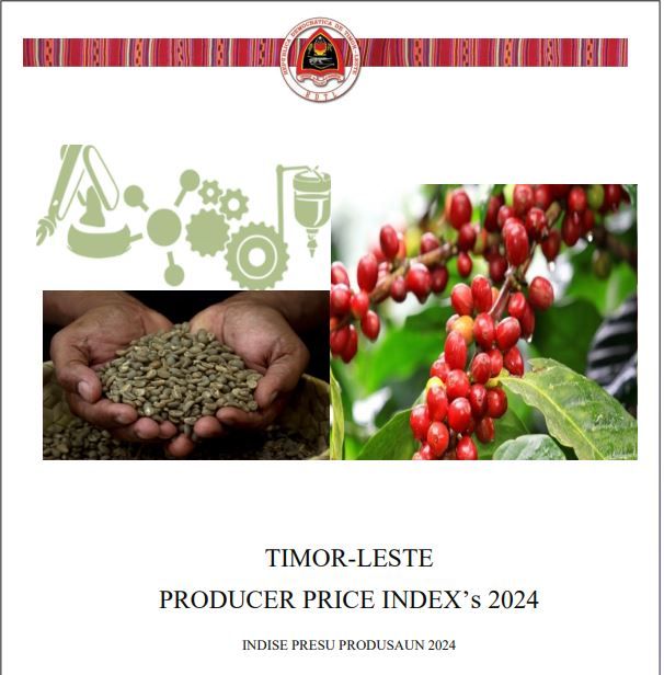 PRODUCER PRICE INDEX’s 2024